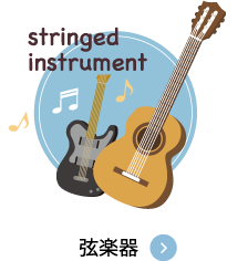 stringed instrument